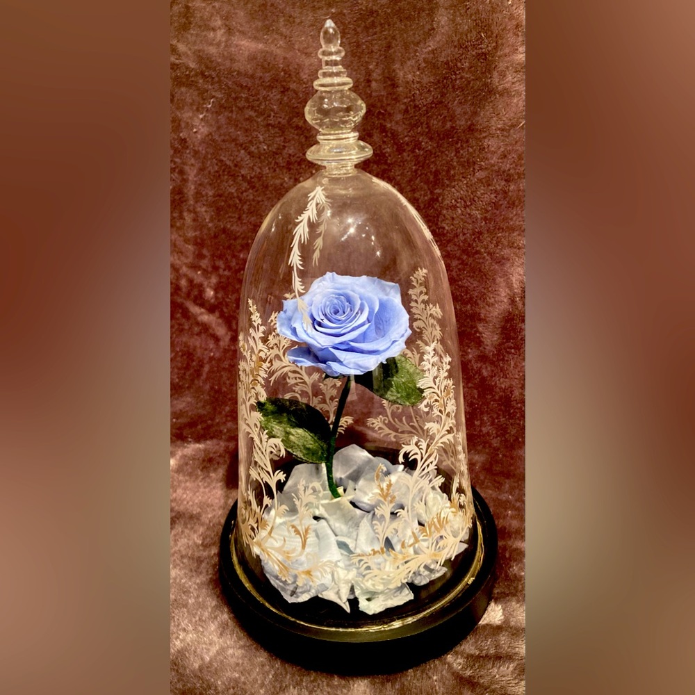 Real Preserved Blue Rose with LED Lights in Decorative Etched Glass Dome